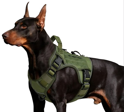 Premium dog accessories from www.petpexi.com, including harnesses, leashes, car safety gear, pet carriers, and cozy beds for comfort and safety.