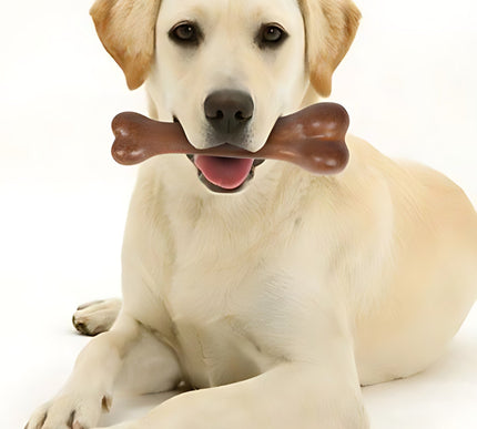 Premium dog toys for training and behavior from www.petpexi.com, including chew toys, interactive puzzles, and fetch toys for happy, engaged pups.