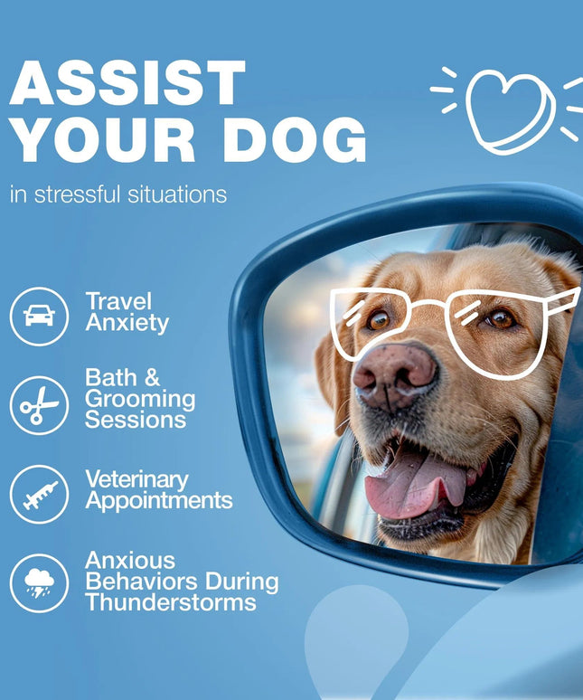 Hemp Calming Chews for Dogs – Anxiety Relief, Stress & Behavior Support – With Melatonin, Valerian Root & Chamomile – Free U.S. Shipping