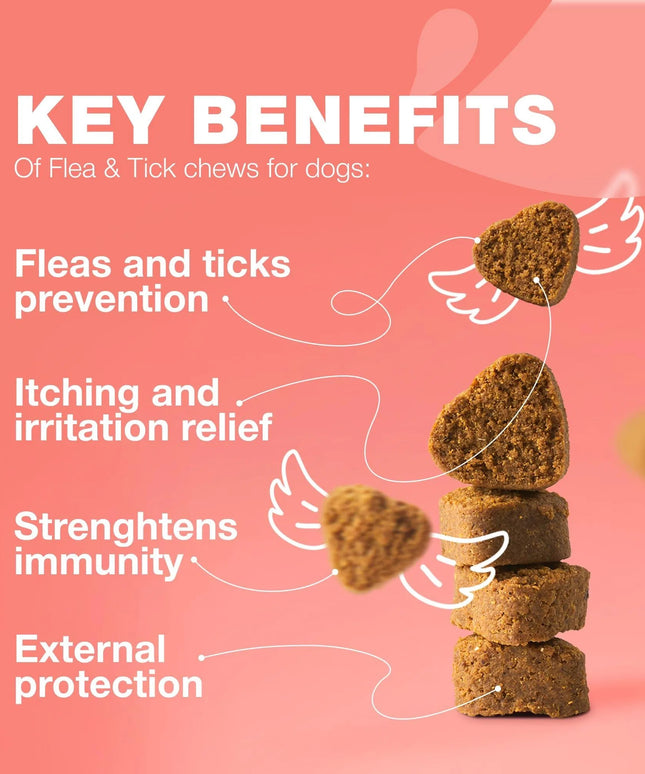 High-Quality Dog Flea and Tick Treatment Chews – Natural Prevention & Immune Support – PetPexi