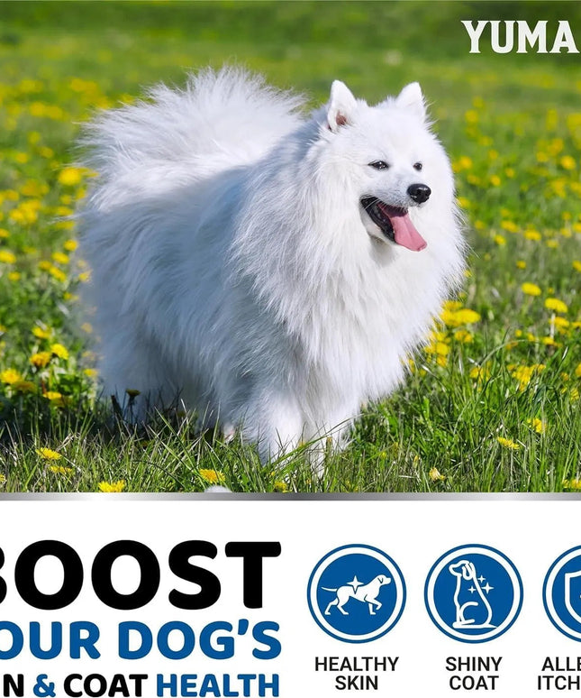 2-Pack Omega 3 Fish Oil for Dogs | Skin & Coat Supplement, Allergy Support, Anti-Shedding, Dry & Itchy Skin Relief | Salmon Oil | Shiny Coat | 340 Chews