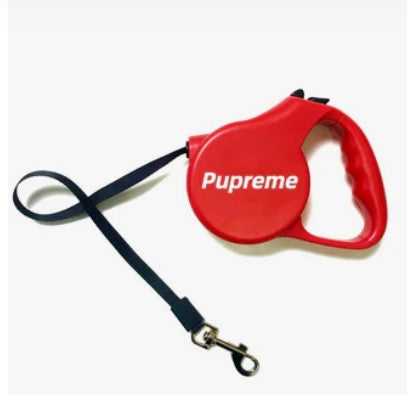 The Ultimate Guide to Choosing the Best Dog Leash & Harness | Petpexi.com