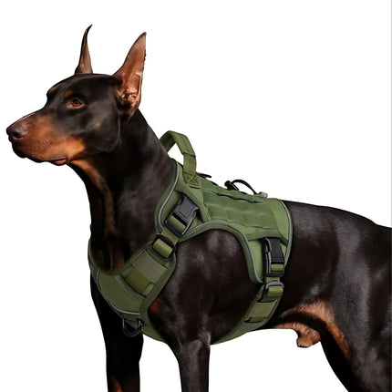 Premium dog accessories from www.petpexi.com, including harnesses, leashes, car safety gear, pet carriers, and cozy beds for comfort and safety.