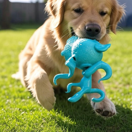 Collection image for: Durable Chew Toys