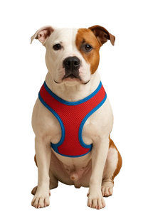 Collection of premium pet harnesses – dog harnesses, cat harnesses, and rabbit harness & leash sets for comfort, safety, and style | Petpexi
