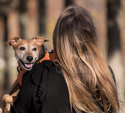 Petpexi pet-themed t-shirts and mugs from PetPartner collection