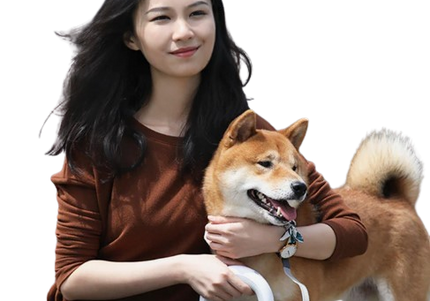 Premium dog leash from petpexi.com: Reflective, adjustable, retractable options for small, medium, large dogs, featuring heavy-duty and tangle-free designs.