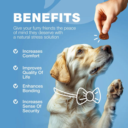 Hemp Calming Chews for Dogs – Anxiety Relief, Stress & Behavior Support – With Melatonin, Valerian Root & Chamomile – Free U.S. Shipping