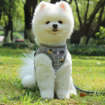 The New Reflective Dog Leash – Night Safety Traction Belt for Dogs | Petpexi