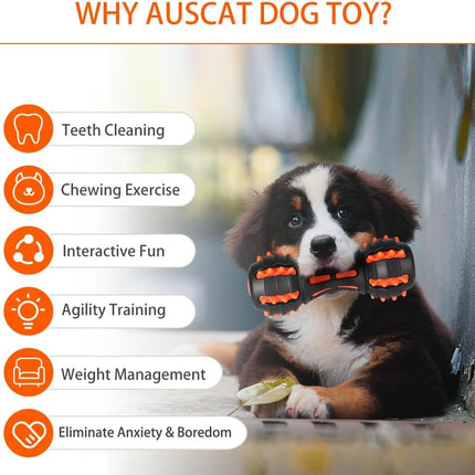 Dog Squeaky Toys For Aggressive Chewers | Durable Rubber Dumbbell Chew Toys – www.petpexi.com