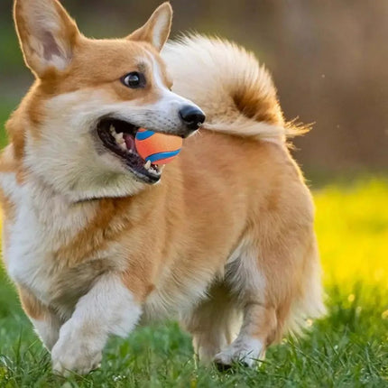 Dog Toy Ball – Tough Rubber Fetch Ball for Dogs | www.petpexi.com