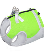 Fluorescent Green