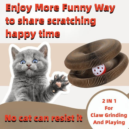 Magic Organ Foldable Cat Scratch Board with Bell – Interactive & Durable | PetPexi