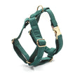 Green / Thoracodorsal / L