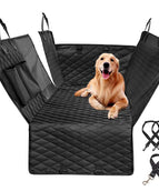 Black with seat belt