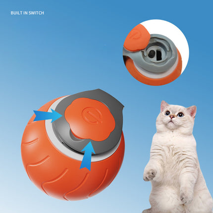 Speedy Tail Interactive Cat Toy – Dual Speed USB Rechargeable Rolling Ball | Petpexi