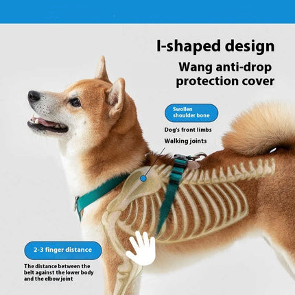 Multifunctional Dog Rope Leash with Chest Strap - Heavy-Duty Adjustable Reflective Dog Leash for Small, Medium, Large Dogs - petpexi.com