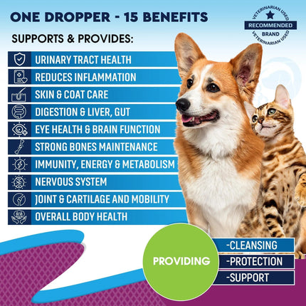15-in-1 Cat and Dog Multivitamin with Glucosamine & Cranberry - Supports Urinary Tract, Hip & Joint, Skin & Coat | 60 ml - Free & Fast Shipping in the USA at www.petpexi.com
