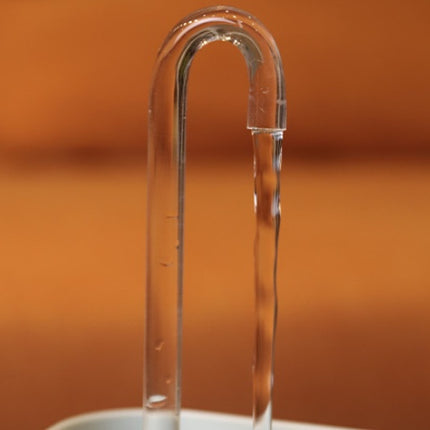 Pet Water Dispenser with Live Water Filter – Cat Fountain for Healthy Hydration | www.petpexi.com