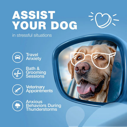 Hemp Calming Chews for Dogs – Anxiety Relief, Stress & Behavior Support – With Melatonin, Valerian Root & Chamomile – Free U.S. Shipping