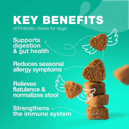 Probiotics For Dogs | Gut Health, Immunity, Yeast Balance & Itchy Skin Relief | 180 Duck-Flavored Chews | Free Shipping to USA | High Quality by Chewia