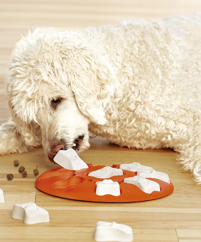 PetPexi Leak Food Toy for Pet Education and Entertainment