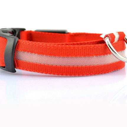 Safety LED Dog Collar – Waterproof Fiber Optic Light-Up Collar in Multiple Colors | Petpexi