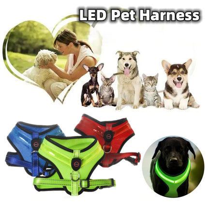 LED Luminous Dog Harness – USB Rechargeable Reflective Safety Chest Strap Vest for Dogs | Petpexi