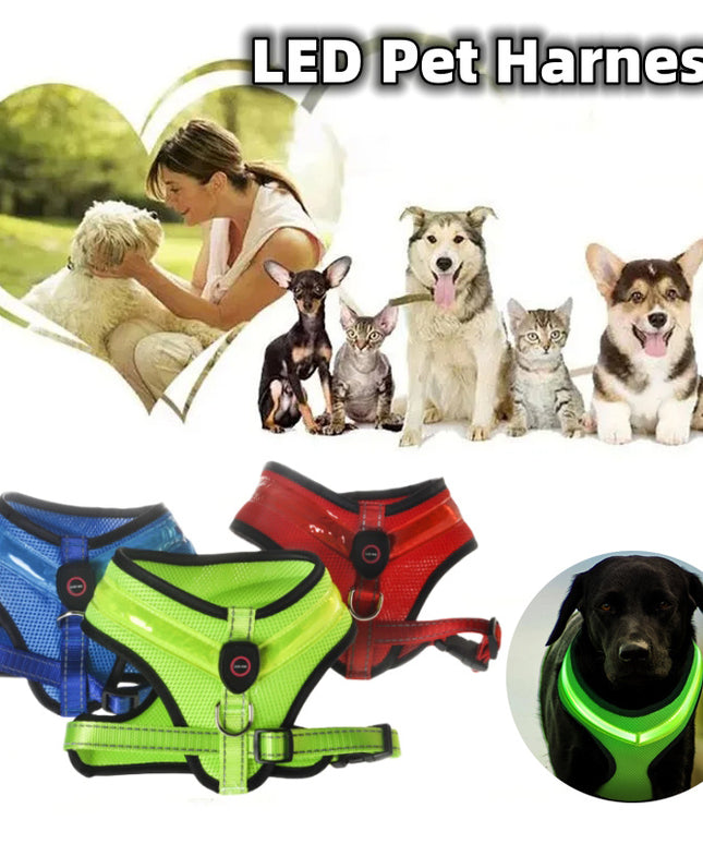 LED Luminous Dog Harness – USB Rechargeable Reflective Safety Chest Strap Vest for Dogs | Petpexi