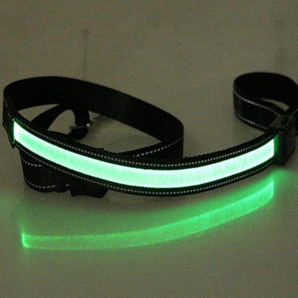 Solar Charging Fluorescent Dog Collar – Durable Nylon LED Pet Chain with Dual Charging | Petpexi