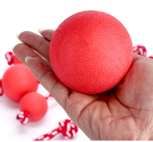 Solid Rubber Bouncy Ball Toy – Durable Chew & Fetch Dog Toy | www.petpexi.com