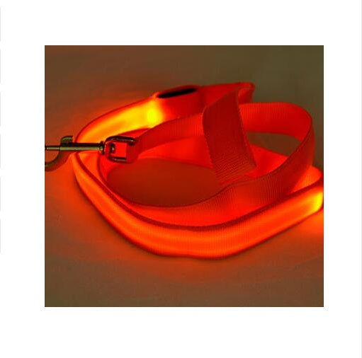 LED Illuminated Reflective Dog Leash – Nylon Pet Leash Rope with Light | petpexi.com
