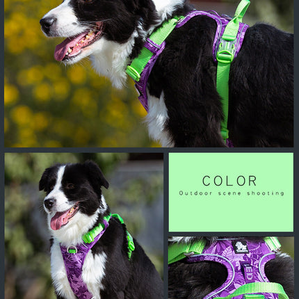 Dog Leashes & Chain Vest Straps – Durable Nylon Harness for All Dog Breeds | Petpexi