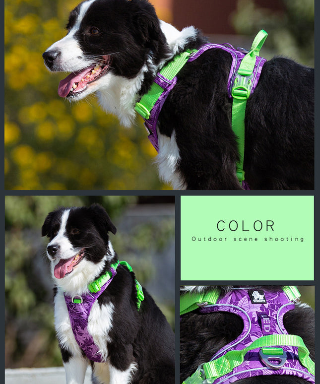 Dog Leashes & Chain Vest Straps – Durable Nylon Harness for All Dog Breeds | Petpexi