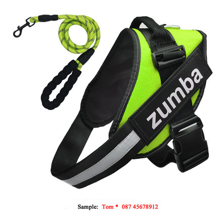 Personalized Reflective Breathable Adjustable Dog Harness and Leash Set | petpexi.com