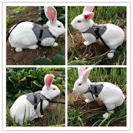 Rabbit Leash & Dress Chest Strap – Comfortable Pet Harness for Rabbits | Petpexi