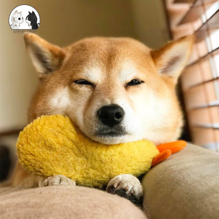 Fried Shrimp Tempura Dog Pet Chew Bite Squeaky Toy – www.petpexi.com