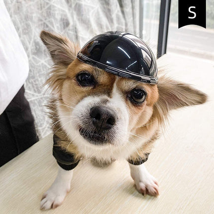Cool Black ABS Pet Motorcycle Helmet for Dogs and Cats - Free Shipping USA | PetPexi