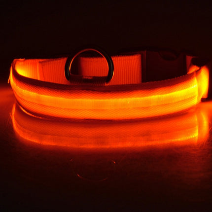 Nylon LED Luminous Dog Collar – Night Safety Flashing Glow Adjustable Pet Collar | Petpexi