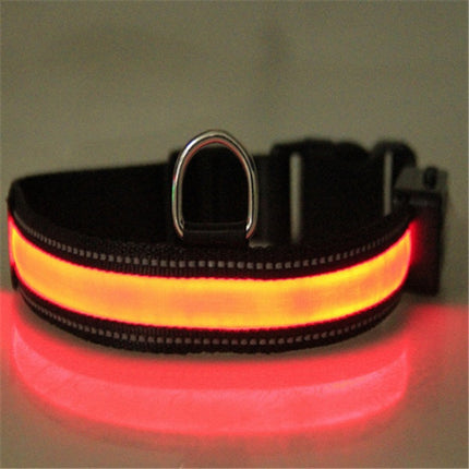Solar Charging Fluorescent Dog Collar – Durable Nylon LED Pet Chain with Dual Charging | Petpexi