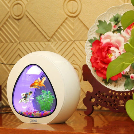 Desktop Acrylic Fish Tank Aquarium – Small & Large Sizes | PetPexi