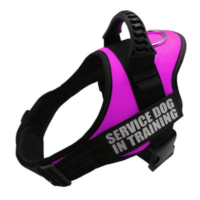 Personalized Custom Reflective Breathable Dog Harness NO PULL Adjustable Pet Harness for Small Large Dogs and Cats - Best Harness for French Bulldogs, Puppy Harness, Cat Harness - petpexi.com