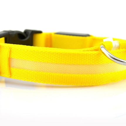 Safety LED Dog Collar – Waterproof Fiber Optic Light-Up Collar in Multiple Colors | Petpexi
