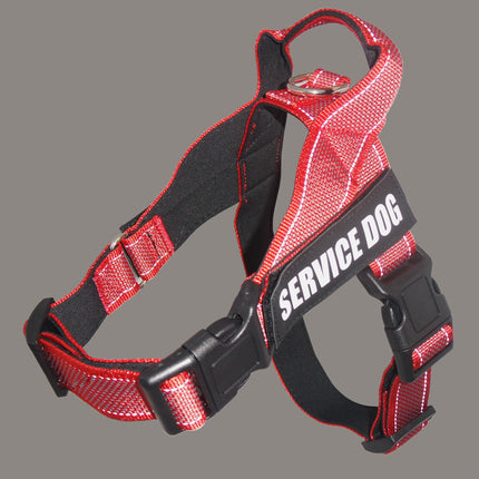 Personalized Custom Pet Harness – Stylish, Comfortable & Adjustable | Petpexi