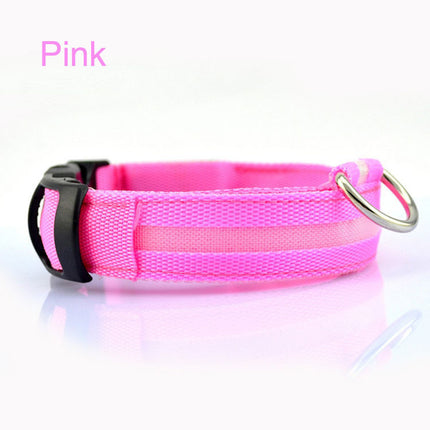 Safety LED Dog Collar with Tracker – Waterproof Light-Up Adjustable Collar | Petpexi