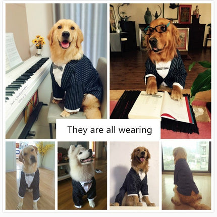 Elegant Striped Bow Tie Suit for Large Dogs – Formal Pet Outfit | Petpexi