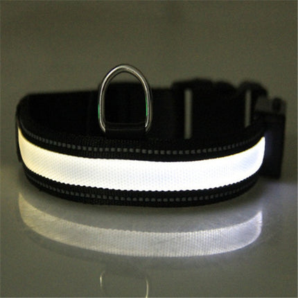 Solar Charging Fluorescent Dog Collar – Durable Nylon LED Pet Chain with Dual Charging | Petpexi