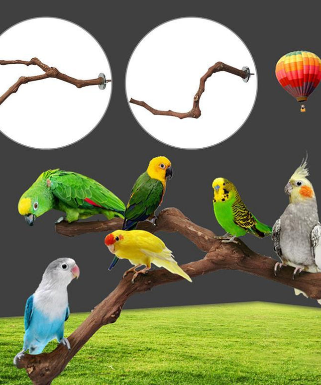 Bird Standing Stick – Natural Grape Wood Habitat for Parrots | PetPexi