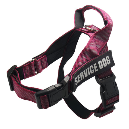 Personalized Custom Pet Harness – Stylish, Comfortable & Adjustable | Petpexi