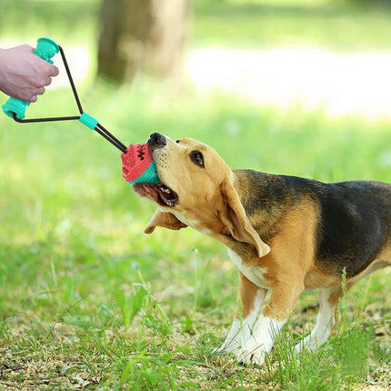 PetPexi Pull Rope Toy with 8.5cm Training Ball & 12cm Molar Stick